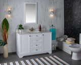 Livia 48 " Gray Single Bathroom Vanity | Quartz Countertop